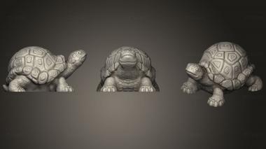 3D model Turtle (STL)